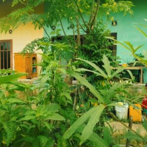 Berkebun, Berbagi Kebahagiaan:   Manfaat Untuk Sosial dan Lingkungan
